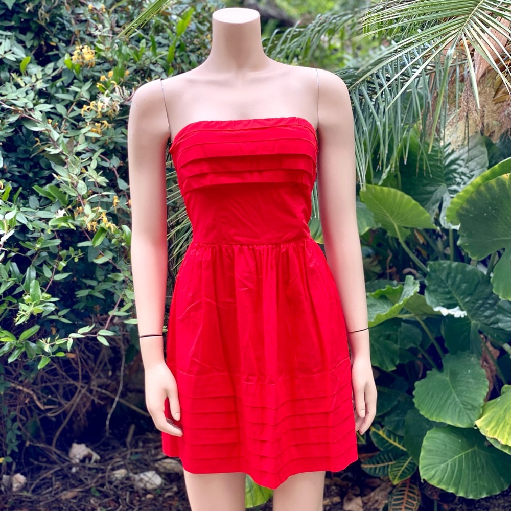 NWT Jack BB Dakota Strapless Dress
